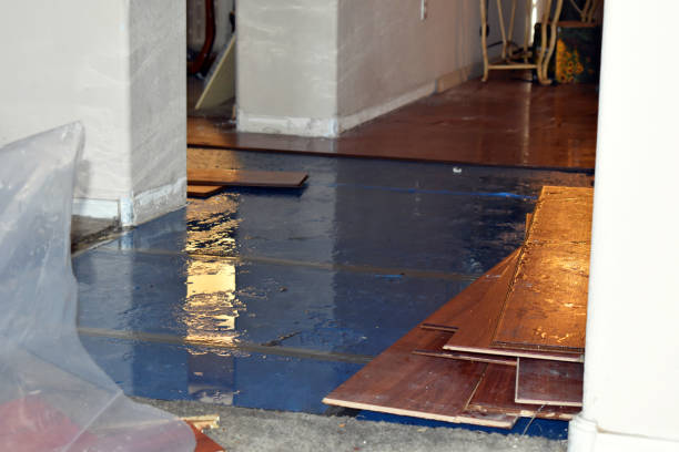 Professional Water Damage Restoration technician working in Fate, TX
